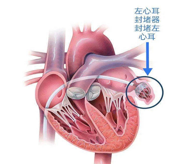 微信圖片_20220807225002